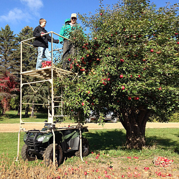 Tt apple tree img 1789 2
